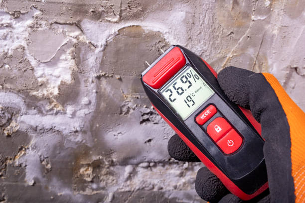 Best Black Mold Removal  in Buffalo, MO